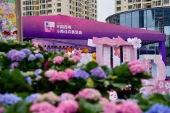 2024中国昆明斗南花