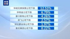 中国正在这一范畴